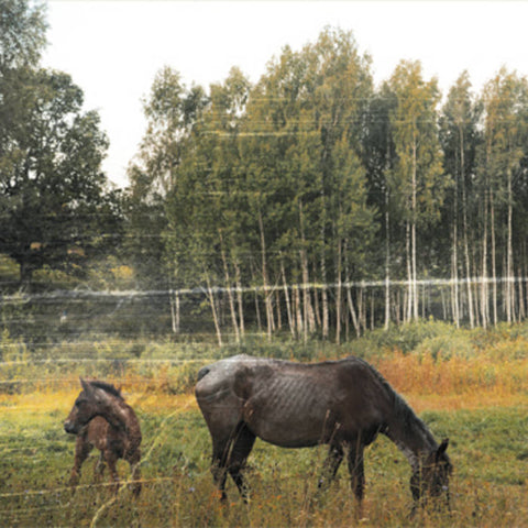 Pianos Become The Teeth - Old Pride (Vinyl)