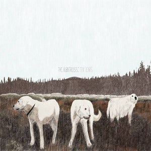 Foxing - The Albatross: Ten Years (Vinyl)