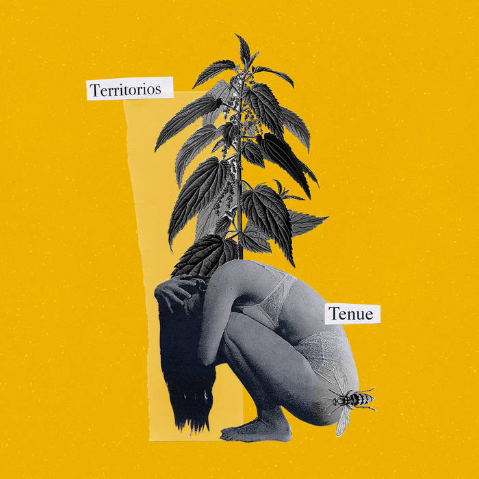 Tenue - Territorios (Vinyl)