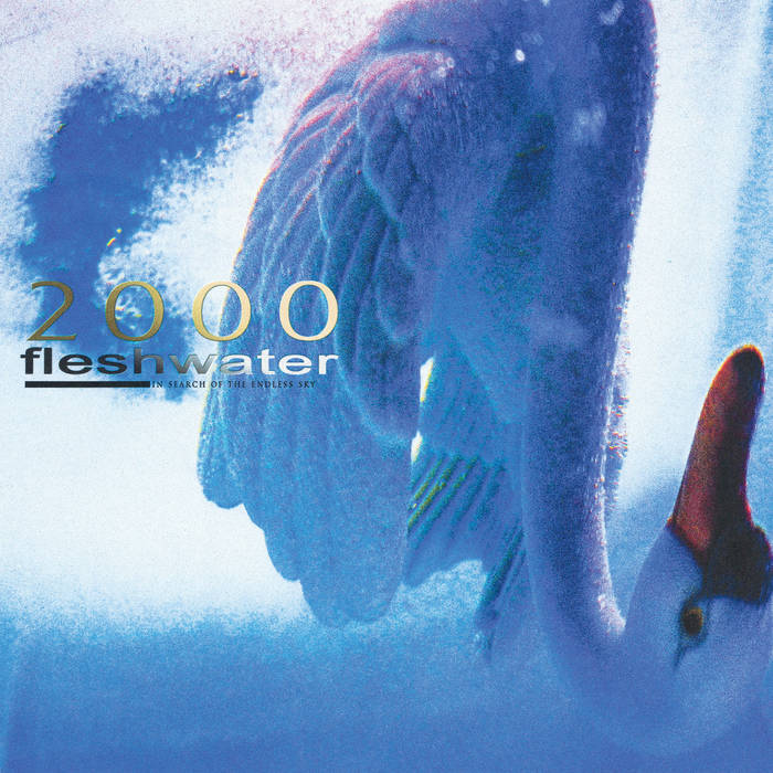 fleshwater - 2000: In Search Of The Endless Sky (Vinyl)