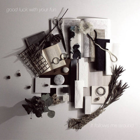 good luck with your fun - It follows me around (CD)