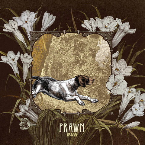 Prawn - Run (CD)