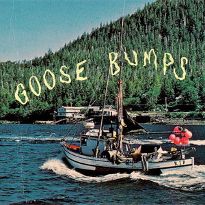 Boyscott - Goose Bumps (CD)