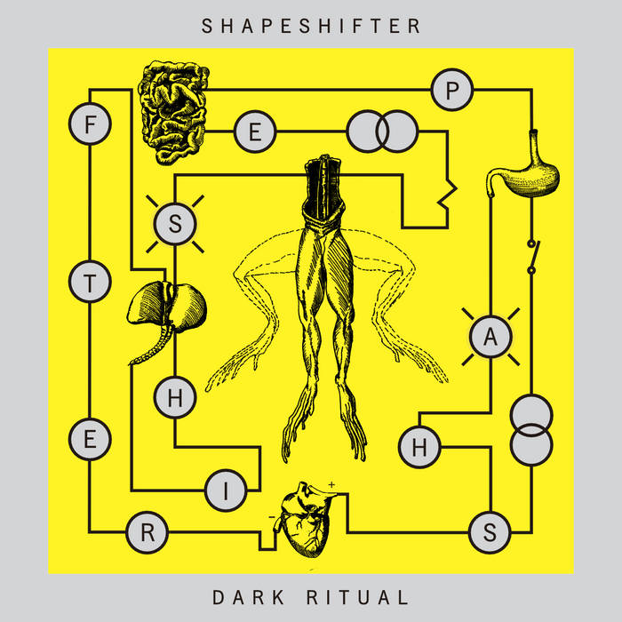 Shapeshifter - Dark Ritual (CD)