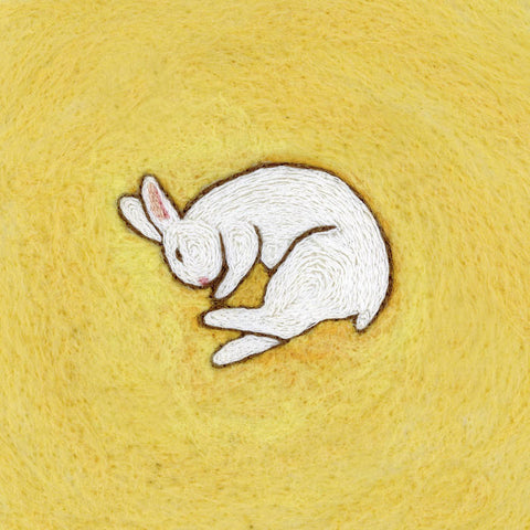 your arms are my cocoon - death of a rabbit (CD)