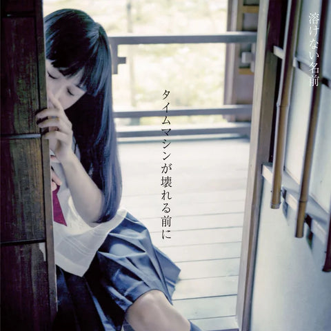 溶けない名前 - タイムマシンが壊れる前に (Vinyl)