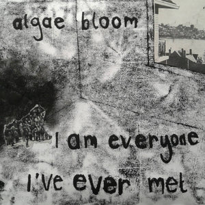 algae bloom - I am everyone I've ever met (Vinyl)