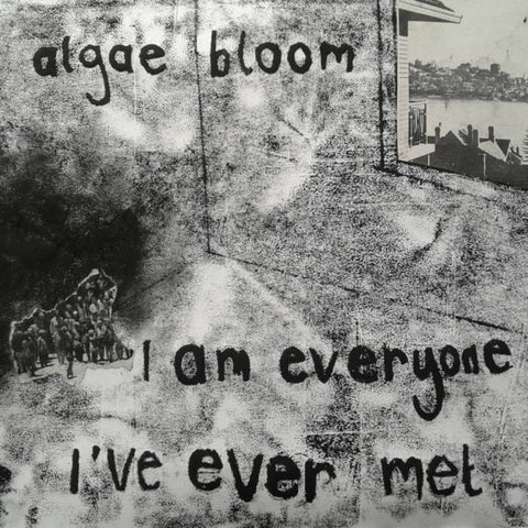 algae bloom - I am everyone I've ever met (Vinyl / Preorder July 2023)