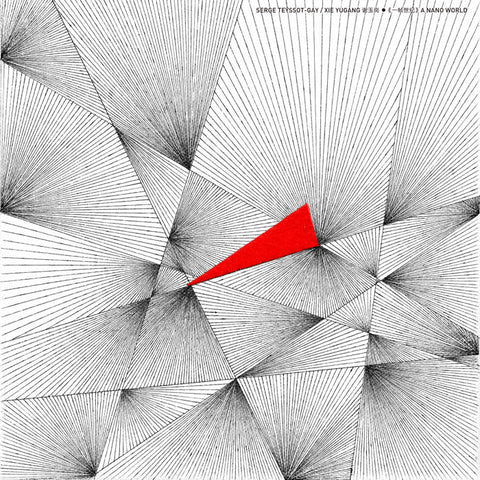 Serge Teyssot-Gay/謝玉崗 - A Nano World 一帧世纪 (Vinyl)
