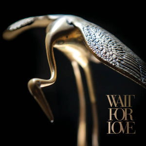 Pianos Become The Teeth - Wait For Loves (Vinyl)