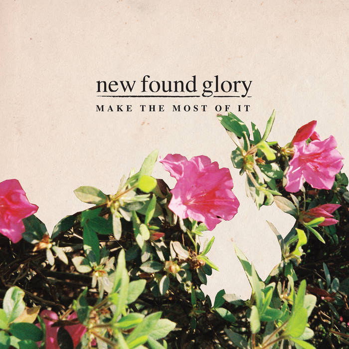 New Found Glory - Make The Most Of It (Vinyl)