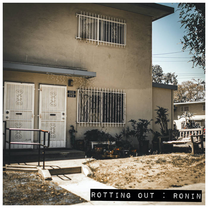 Rotting Out - Ronin (Vinyl)