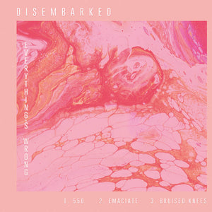 Disembarked - Everything's Wrong (Vinyl)