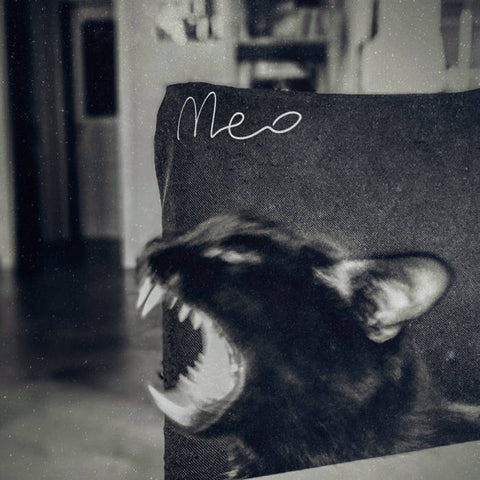 MEO - Testarossa (Vinyl)
