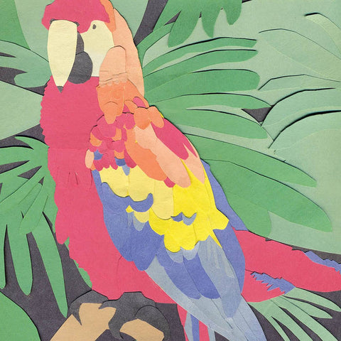 Algernon Cadwallader - Parrot Flies (Vinyl)
