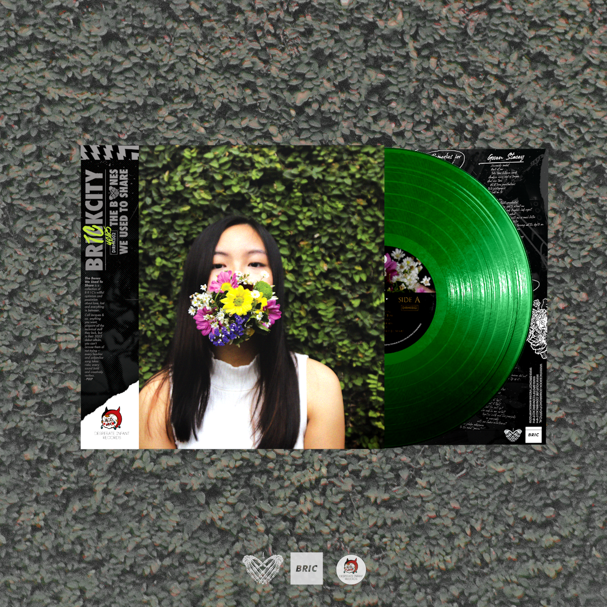 Brickcity - The Bones We Used to Share (Vinyl)